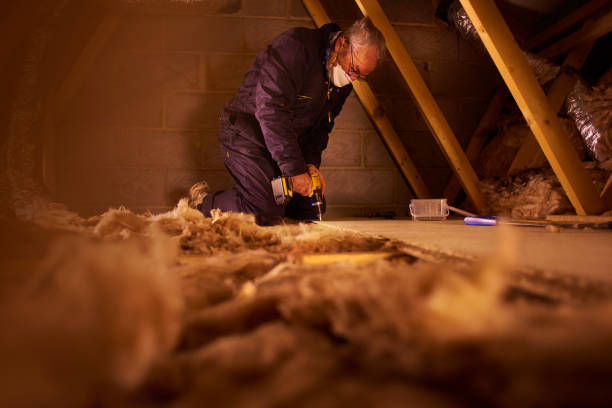 Best Energy Efficiency Solutions in Hallsville, MO