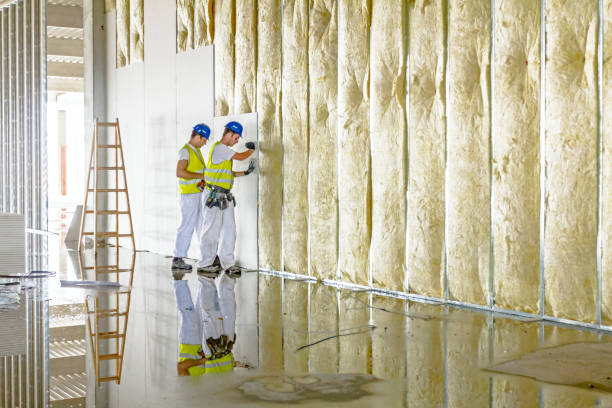 Best Insulation Materials and Products in Hallsville, MO